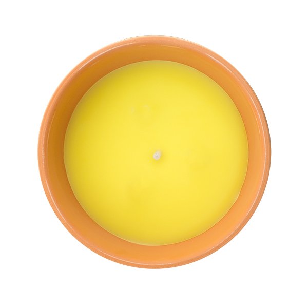 13-cm-Citronella-Kynttilä-Terrakottaruukussa-1